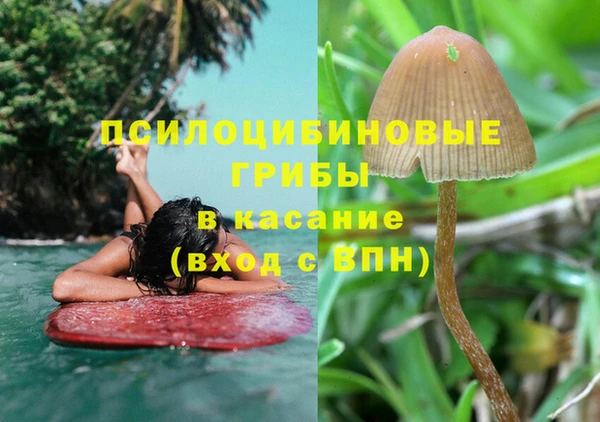 тгк Абаза