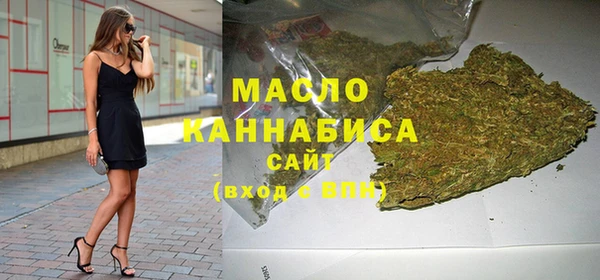 индика Слюдянка