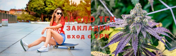 тгк Абаза
