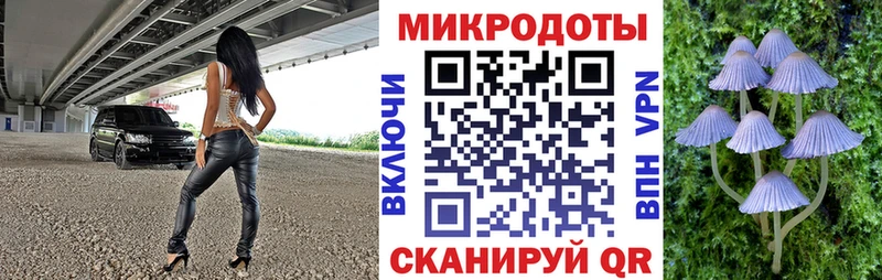 Псилоцибиновые грибы Cubensis купить наркоту Зарайск